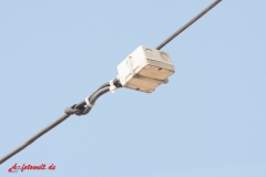 Abzweigdose im Spannkabel